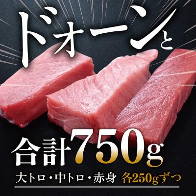 ふるさと納税 越前市 絶品!本マグロ セット 大トロ 250g   中トロ 250g   赤身 250g(すべて柵どり)