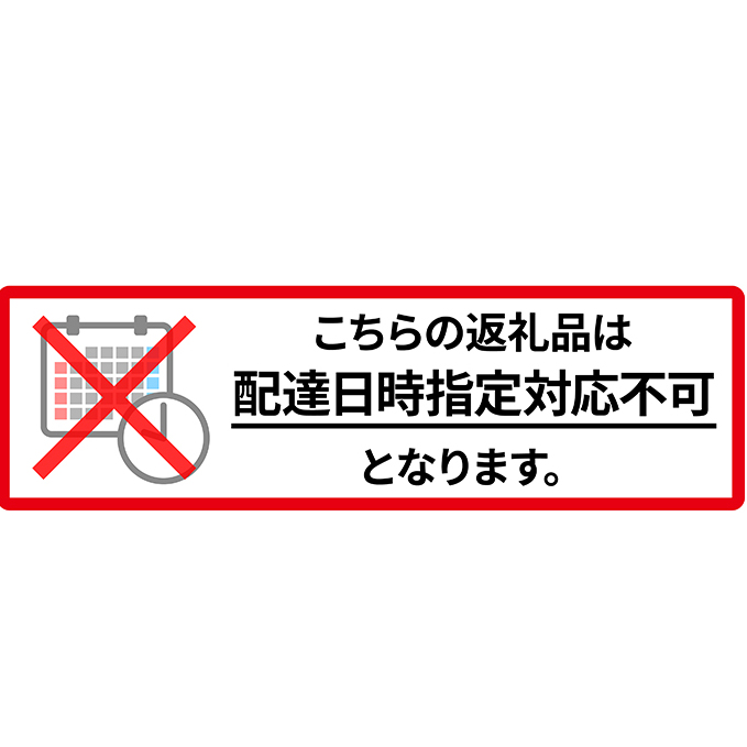 先行予約 2024年9月発送 北海道 仁木町産 いちご 「 すずあかね 」 (S36粒) 今野農園