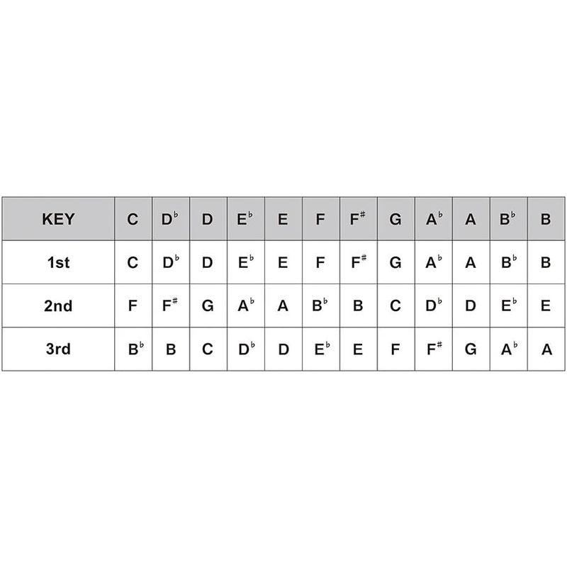 HAMMOND ハモンド 10穴ハーモニカ HAMMOND HA-20 A調