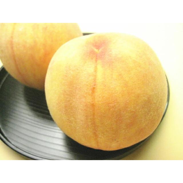 黄金桃  ２kg箱フルーツ王国福島がお届けする幻の桃！　もも　黄桃　ギフト