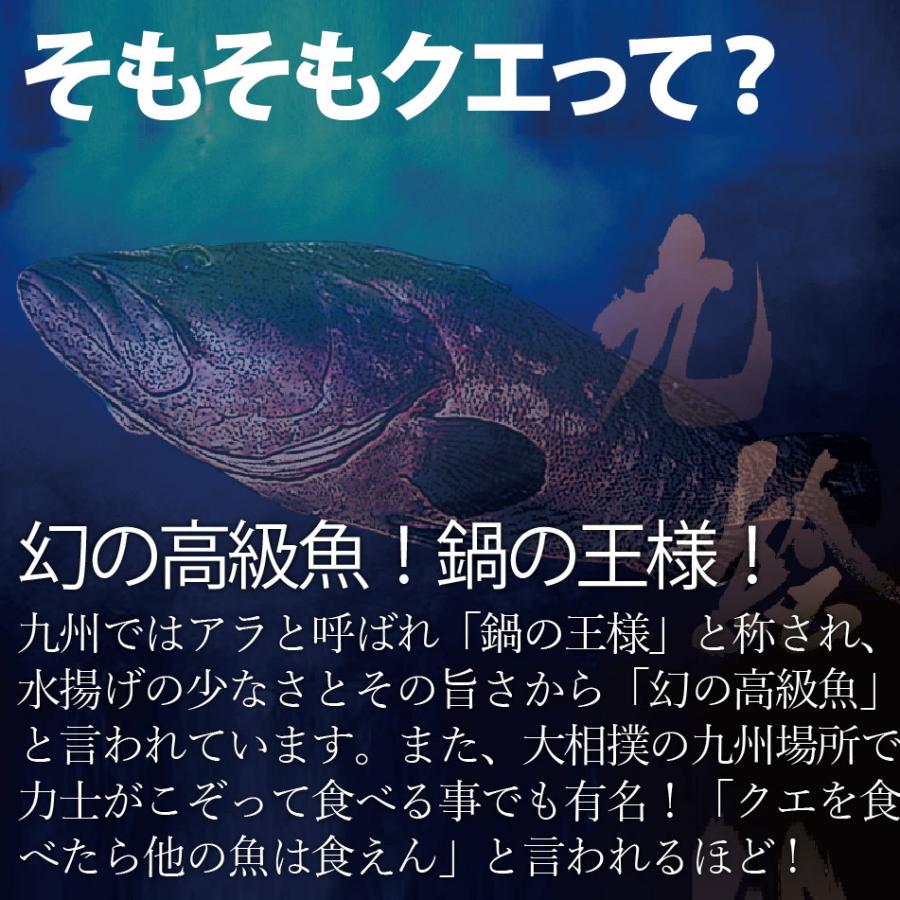 お歳暮 ギフト 長崎産天然クエと漁師地魚鍋セット3人前(クエだしの素付き) 海鮮鍋セット クエ お取り寄せグルメ 鍋 漁師地魚鍋セット