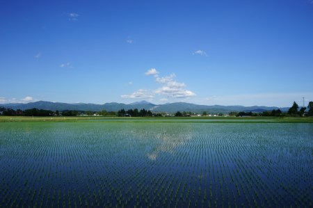 花巻産ひとめぼれ１０kg（５kg×２袋）