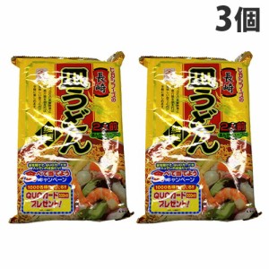 ヒガシマル 長崎皿うどん 120.8g×3個