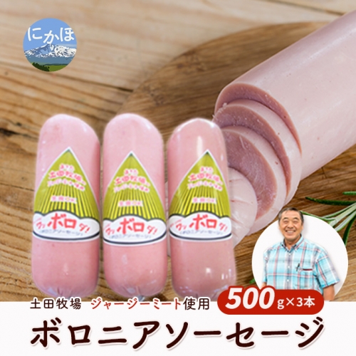 生食OK！ジャージーミート使用 ボロニアソーセージ500g×3本