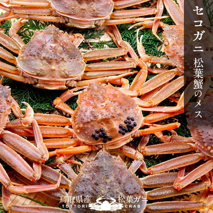 かに 訳あり 香箱がに セコガニ［B品］小2kg（20尾入） 活ガニ 生き蟹 松葉蟹のメス 鳥取県産 せこ蟹 セイコガニ 子持ち 親蟹［お歳暮 2023 ギフト 御歳暮］