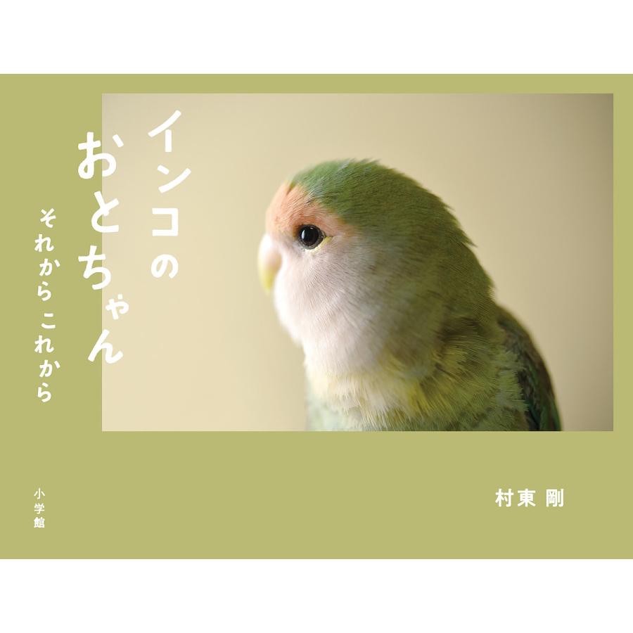 インコのおとちゃんそれからこれから 村東剛