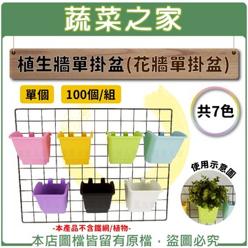 【蔬菜之家】植生牆單掛盆(花牆單掛盆)共7色 單入.100個/組(兩種規格可選)