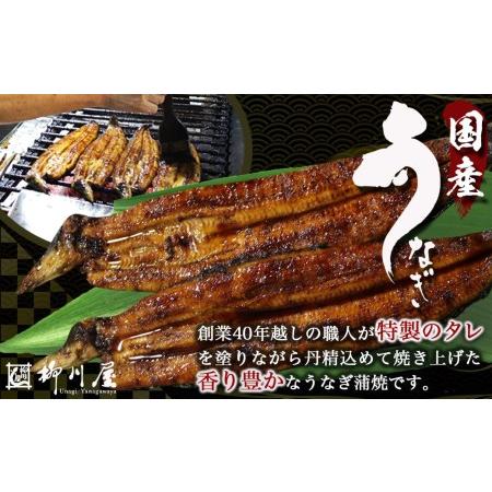 ふるさと納税 職人手焼きうなぎ蒲焼き2尾＆豚ロースステーキ6枚_AC-3305_(都城市) 豚肉 鰻 国産 うなぎの蒲焼 2尾 タレ付き.. 宮崎県都城市