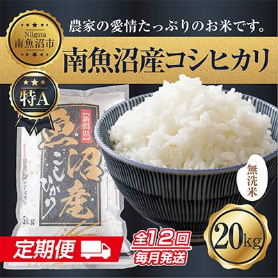 ふるさと納税 南魚沼市 無洗米 南魚沼産 コシヒカリ お米 20kg 精米 (美味しい炊き方ガイド付)全12回