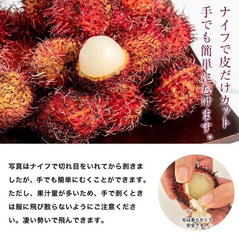 ランブータン 生 （フレッシュ） 約700g（20個前後）メキシコ産 ※冷蔵 ...