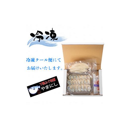 ふるさと納税 山口県 下関市 ふぐ たたき 刺身 一汐干し 天然 冷凍  真ふぐ まふぐ てっさ 本場フグ刺し 河豚 高級魚 鮮魚 本場 下関 山口  旬 お取り寄せ ギ…