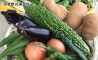 栽培期間中農薬不使用 季節の野菜ハーフセット(6～7品)