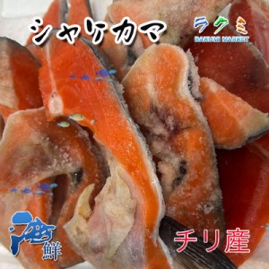 鮭 カマ 切身 切り落とし 甘塩 約３kg チリ産 紅鮭 塩焼 冷凍