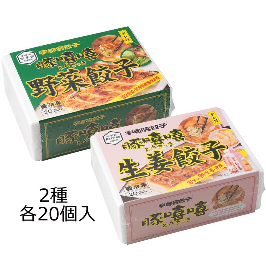 野菜餃子・生姜餃子 20個入各1箱 2種詰合せ 餃子 惣菜 生姜 ぎょうざ 野菜 栃木 宇都宮餃子とんきっき