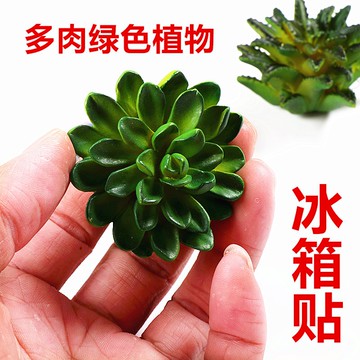 新款仿真多肉植物冰箱貼 磁鐵 立體造型留言條裝飾品