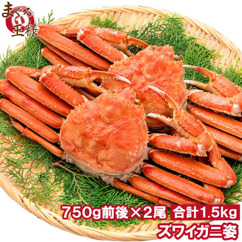 ズワイガニ 姿 1.5kg 750g前後×2尾 冷凍ゆでがに 本ズワイガニ 解凍するだけでＯＫ ボイル冷凍 ズワイ蟹 ずわいがに かに カニ 蟹 ずわい蟹 豊洲市場 かに鍋