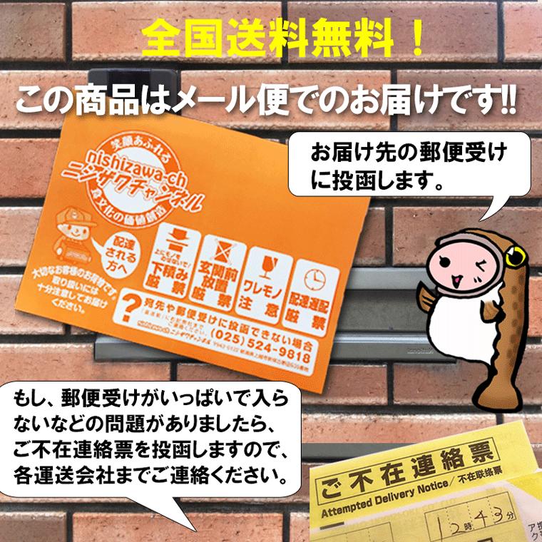 おつまみ 珍味 サーモン 鮭 乾き物 セール 酒の肴 ポイント消化 ゆうパケ送料無料 鮭スティック 70g 1000円 ポッキリ 送料無料