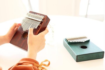 熱銷推薦-安德魯卡林巴拇指琴17音初學者手指鋼琴不用學的樂器便攜迷你樂器【摩可美家】