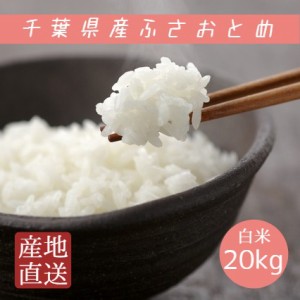 新米 米 お米 白米 20kg 5kg×4袋 ふさおとめ 令和5年産 本州四国 送料無料