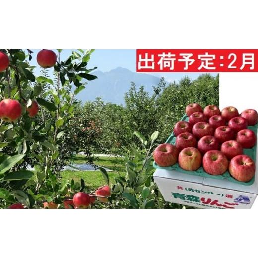 ふるさと納税 青森県 弘前市 2月発送 訳あり EM葉取らずサンふじ約10kg 糖度13度以上　