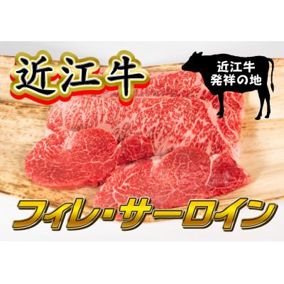 ふるさと納税 竜王町 近江牛ステーキセット サーロイン180g×2枚・フィレ110g×2枚