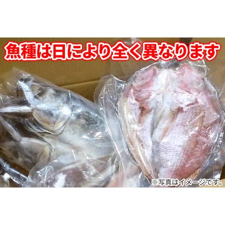 ふるさと納税 干物の玉手箱 5?6枚 秋田県由利本荘市