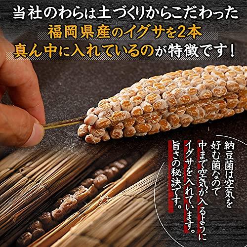 くま納豆 北海道 わら 納豆 わさび 漬け 1本 納豆大粒80g わさび漬け10g