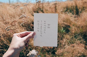 謝謝 我的地球朋友 青青的島 文字明信片
