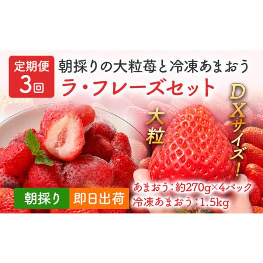 ふるさと納税 福岡県 大木町 ラフレーズセット 270g×４パック（2箱）×2回 冷凍いちご1.5kg BO005