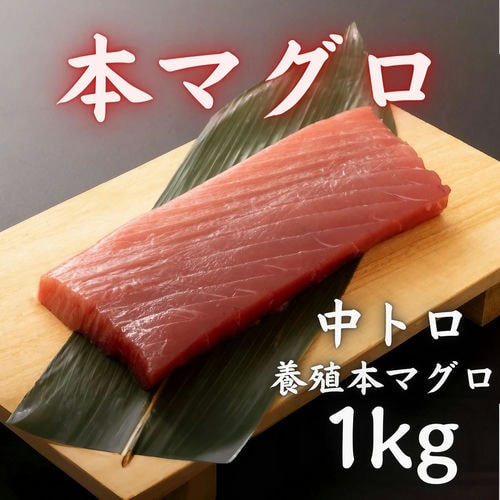 本マグロ 中トロ 1kg