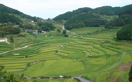 レンジ アップ ごはん 岡山県美咲町大垪和西棚田米 （ 赤米 ブレンド ）20パックセット 米 パック ごはん 保存 レトルト