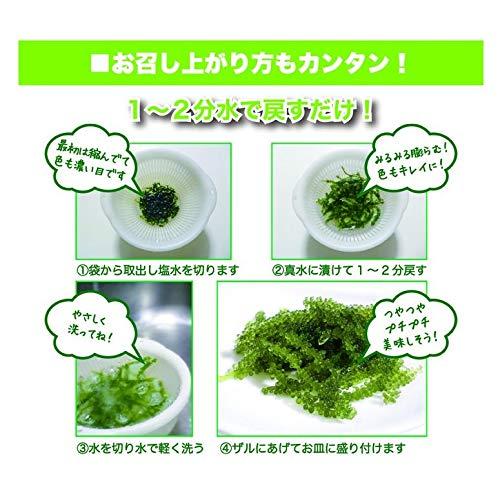 沖縄県産 海ぶどう(茎付き) 50g×2袋 沖縄の海の宝 プチプチ食感 海ぶどう 海藻 塩水漬け おつまみ