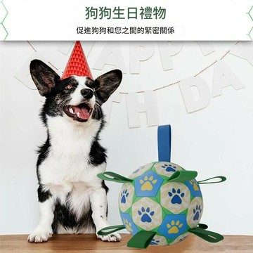 狗狗耐咬足球邊牧柯基玩具狗訓練解悶玩具中型戶外互動寵物