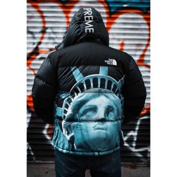 彩蛋* Supreme The North Face Statue of Liberty 自由女神羽絨外套三