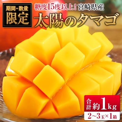 ◆糖度15度以上!宮崎県産 「太陽のタマゴ」(合計約1kg)