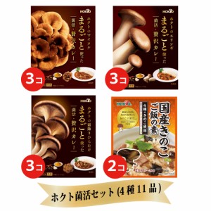 ホクト菌活セット (４種１１品) 送料無料 レトルト食品 詰め合わせ ギフト セット レトルト カレー バレンタイン 茸御飯 節分