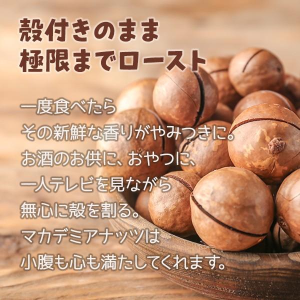 割って食べるから新鮮香ばしい　殻付きマカダミアナッツ　1kg(500g×2袋)　マカデミアナッツ