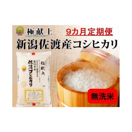 ふるさと納税 新潟県 佐渡市 新潟県佐渡産コシヒカリ「無洗米」5kg