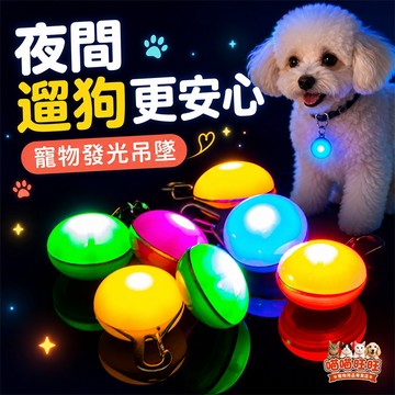 【喵喵旺旺D001台灣現貨】發光項圈 LED發光吊墜 /發光狗吊墜/發光狗牌/寵物吊飾/狗狗閃光吊牌/貓狗通用