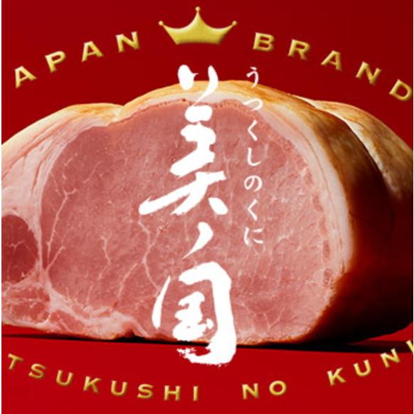 お届け11月18日以降になります　ニッポンハム  日本ハム  北海道産豚肉使用 美ノ国 ギフトセット 肩ロース生ハム付き　UKH-102