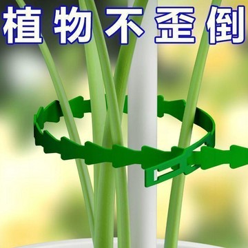 💛臺灣有貨🚀🚀💛免運💛可開發票💛家用多功能魚骨紮帶可重複使用菜園綁紮帶園藝魚骨扎線植物捆綁帶