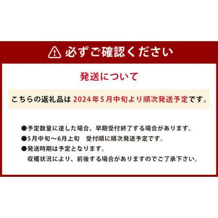 ふるさと納税 熊本スイカ (祭ばやし) 6.5~8kg前後 スイカ 果物 熊本県熊本市