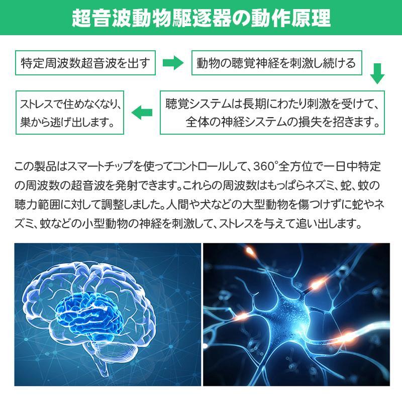 モグラ退治 モグラ撃退器 ネズミ もぐら撃退 ソーラー モグラよけ 音波 超音波 太陽光パネル振動 退治 駆除