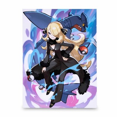 ポケモン　ポケモンセンター　トレーナーズ　ダイゴ　キャンバスウォールアート ぐうてるブログ | 【レビュー】ポケモントレーナー キャンバス