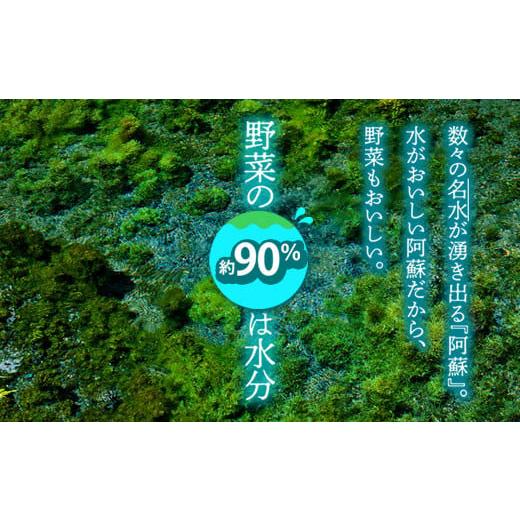 ふるさと納税 熊本県 阿蘇市 ＜畑から直送＞季節のお野菜セット