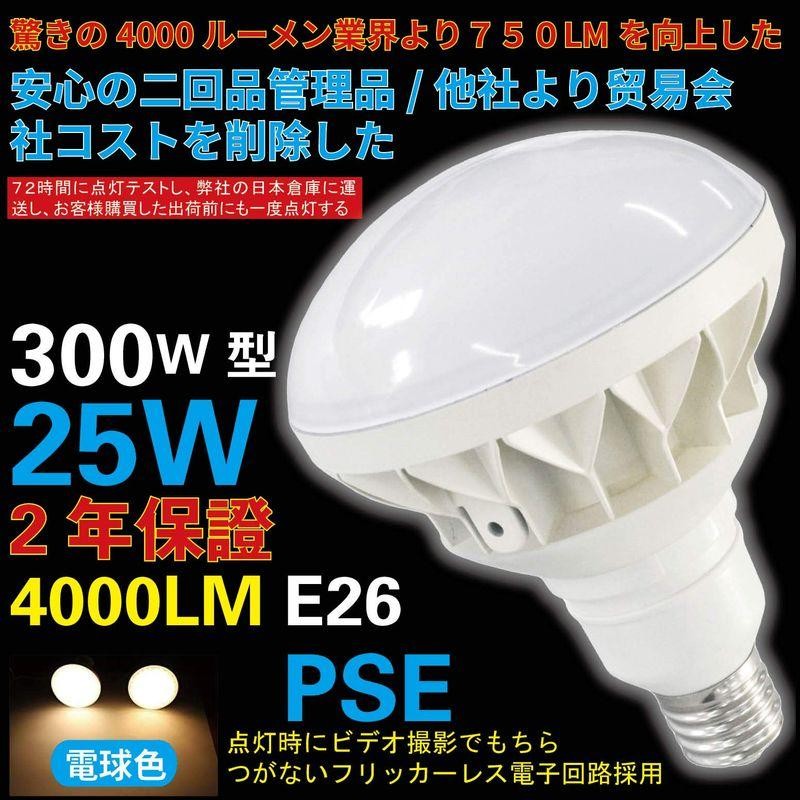 驚きの4000ルーメン業界トップクラス 300W型25Wで4000lmの明るさ LED