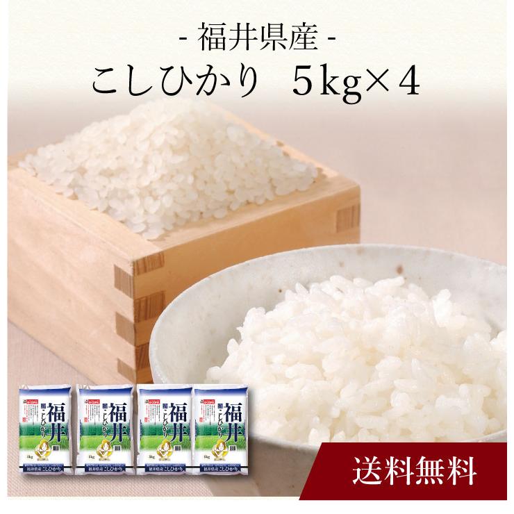 お取り寄せ 送料無料 内祝い 〔 福井県産 こしひかり 〕 出産内祝い 新築内祝い 快気祝い 米