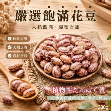 【粿女兒商行】🔥現貨 嚴選飽滿花豆300g