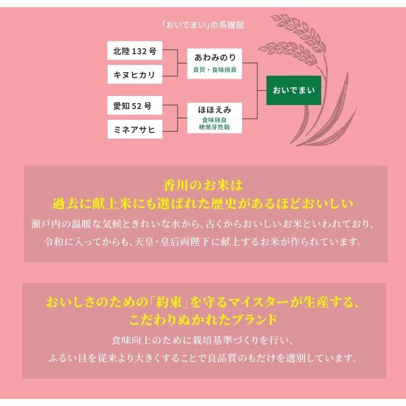 精米 産地直送 香川県産 無洗米 おいでまい 5kg 令和4年産