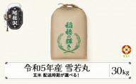 米 新米 30kg  雪若丸 玄米 令和5年産 2024年1月下旬 kb-ywgxa30-1s